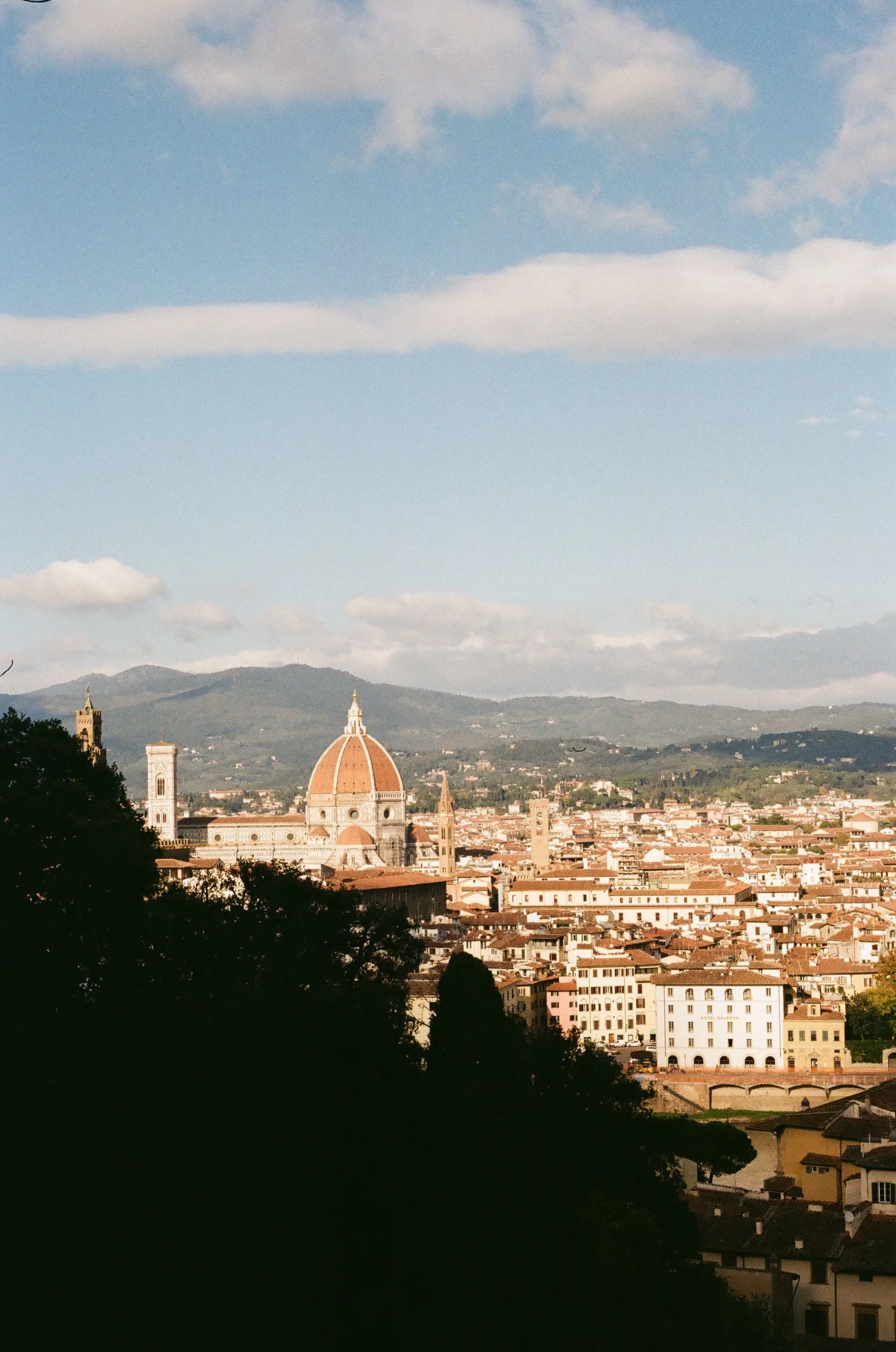 Panorama van Florence met de koepel van de Duomo